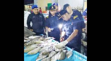PEGAWAI Perikanan serta PPM menjalankan pemeriksaan secara terperinci pada ikan yang dijual di pasar Safma.