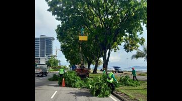 PENGURUSAN POKOK: Pasukan DBKK ketika melakukan Kerja-kerja pemangkasan dahan pokok di sekitar bandaraya ini.